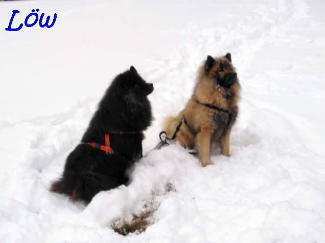 21.1.2023 - Zwei Schneefreunde